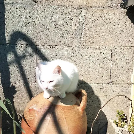 15 Minutes From La Rochelle Yves