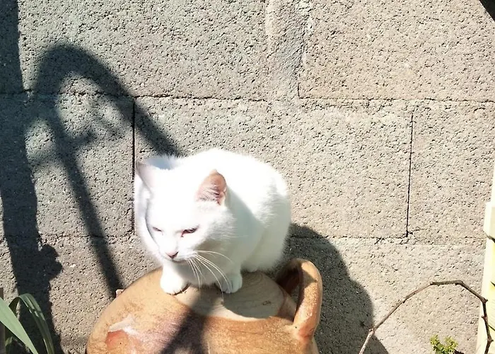 15 Minutes From La Rochelle Yves